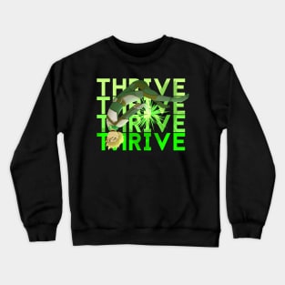 Thrive Laurance Crewneck Sweatshirt